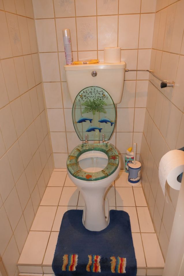 WC mit Delfin-Motiv und blauer Matte im Badezimmer