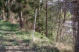 Foto (371 KB)