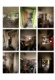 Foto4 (170 KB)