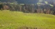 13_Feld4 (553 KB)