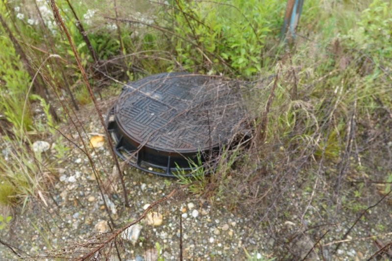 Schachtdeckel mit Rautenmuster im Gestrüpp an einem unbestimmten Ort in Österreich