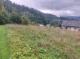 bild008.jpg
