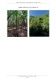 Foto5 (74 KB)