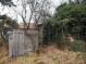 A0000204.JPG