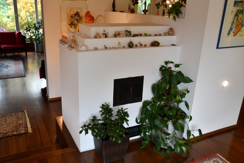 Kamin mit Zierfiguren und Pflanzen in einem Wohnzimmer