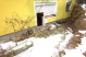 Wohnung 1 Garten (236 KB)