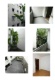 Foto (122 KB)