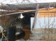 Foto7 (35 KB)