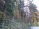 17 Gst 163 1.JPG