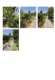 Foto8 (160 KB)