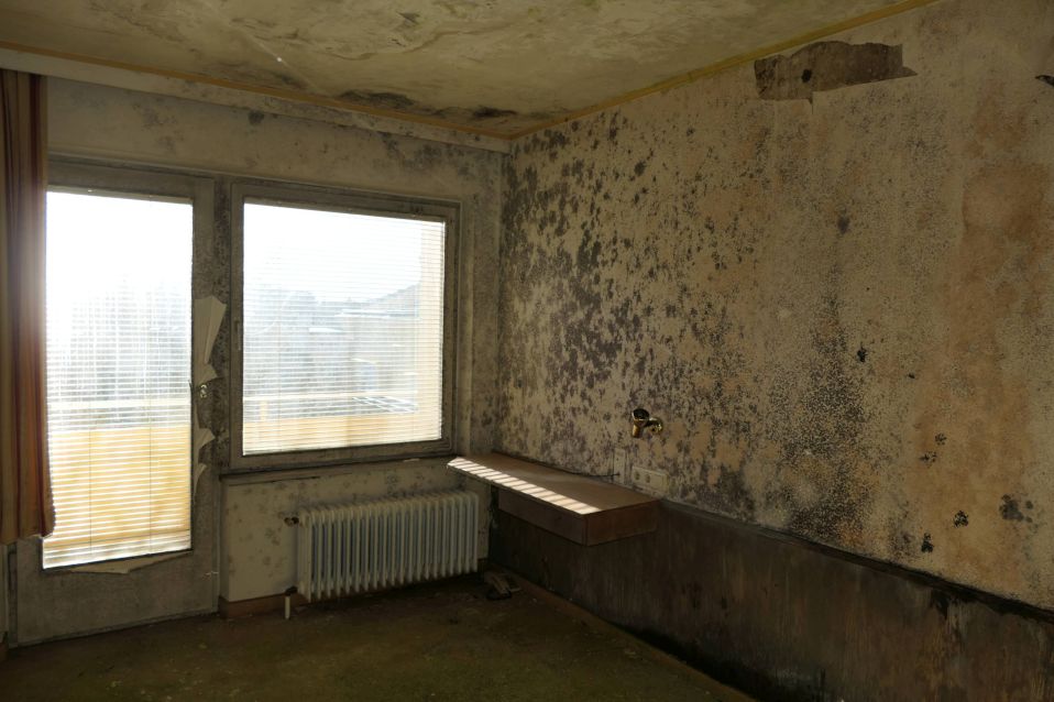 Schimmelbefallene Wand und Decke in einem Zimmer mit Heizkörper und Jalousien