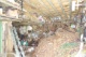 DSC02134.JPG