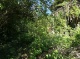 Garten (143 KB)