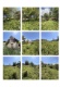Foto6 (340 KB)
