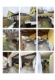 Foto11 (210 KB)