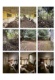 Foto5 (272 KB)