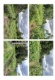 Foto 1 (411 KB)
