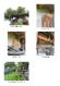 _Fototdok Außen-page-00002.jpg