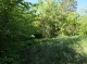 Garten (125 KB)