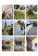 Foto4 (211 KB)