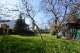 Foto Baugrund 1 (58 KB)