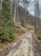 Waldbestand (6337 KB)