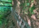 Öffentlicher Weg 1338/1 (5879 KB)