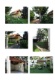 Foto (182 KB)