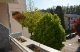 balkon.jpg