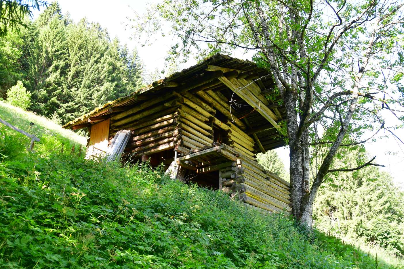 Altes Holzhaus in den Bergen, umgeben von grüner Vegetation und Bäumen.