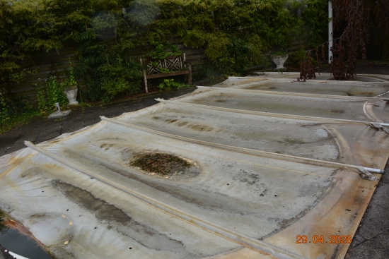 Abgedeckter Pool mit Schmutz und Laub in einem Garten mit Holzbank und Büschen