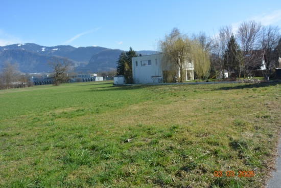Wiese mit Haus und Gebirge im Hintergrund, 03.03.2026