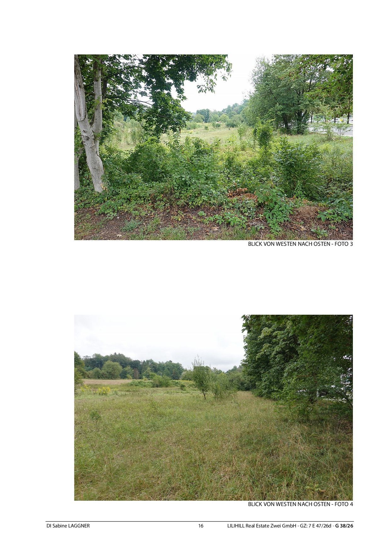Blick von Westen nach Osten, eine Wiese mit Bäumen und Sträuchern, LILIHILL Real Estate Zwei GmbH