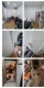 Foto (94 KB)