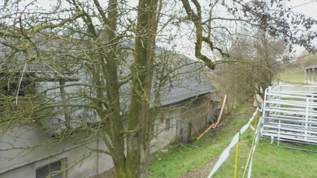 Bauernhof mit Bäumen und Metallkäfigen in Österreich