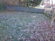 08 Gartenfläche.JPG