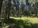 Waldfläche Nord (403 KB)