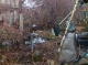 Foto6 (42 KB)