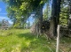 IMG_2387 GA.jpg
