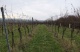 Foto (124 KB)