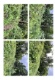 Foto 5 (469 KB)