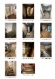 Beilage 8 (673 KB)