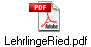 LehrlingeRied.pdf